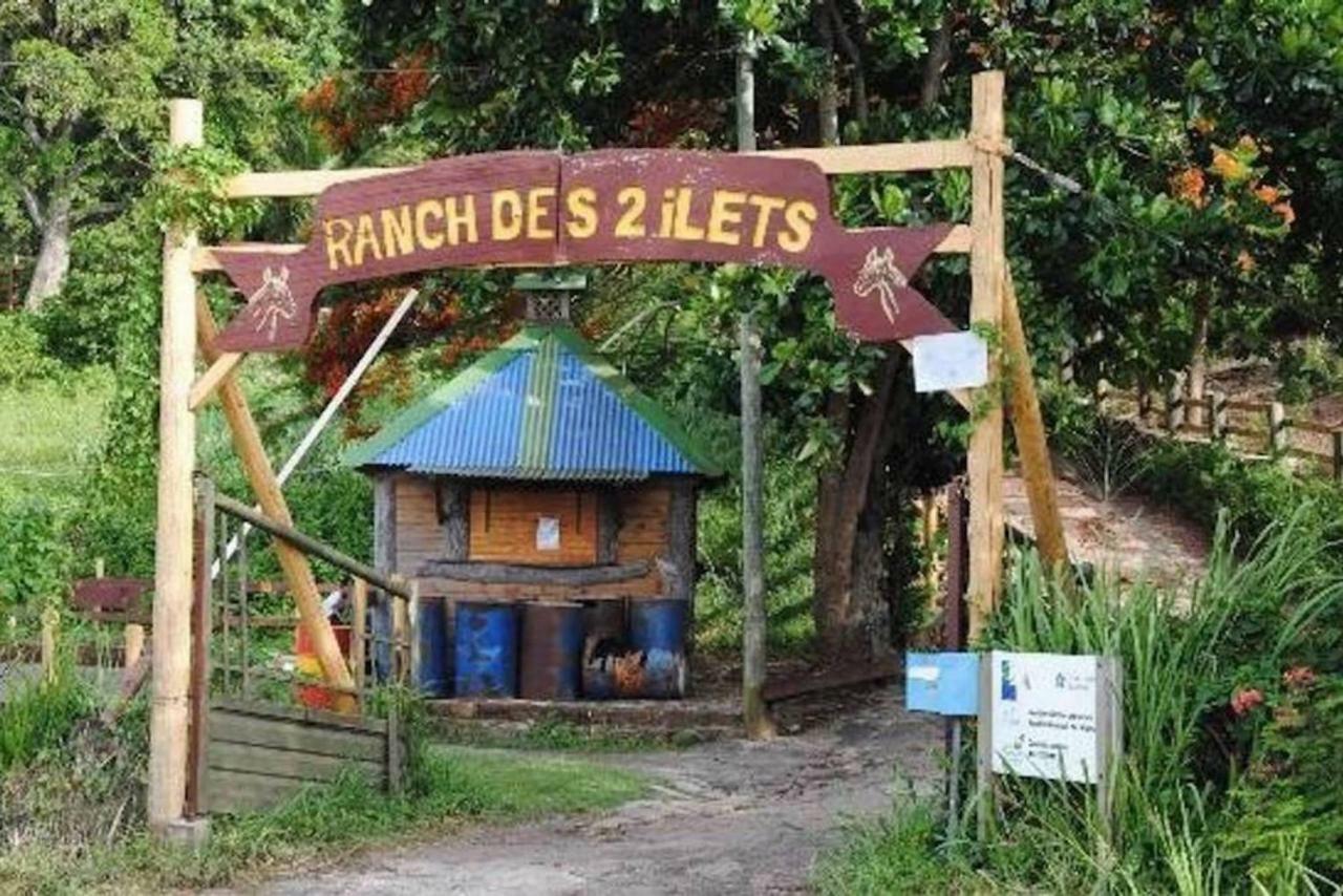 Logement entier au soleil couchant Deshaies Extérieur photo